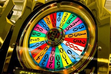 besttogel login Teen Patti table with live dealer and player cards displayed